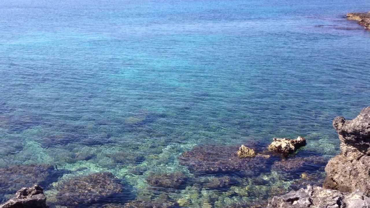 Villetta Frontemare أليستي المظهر الخارجي الصورة